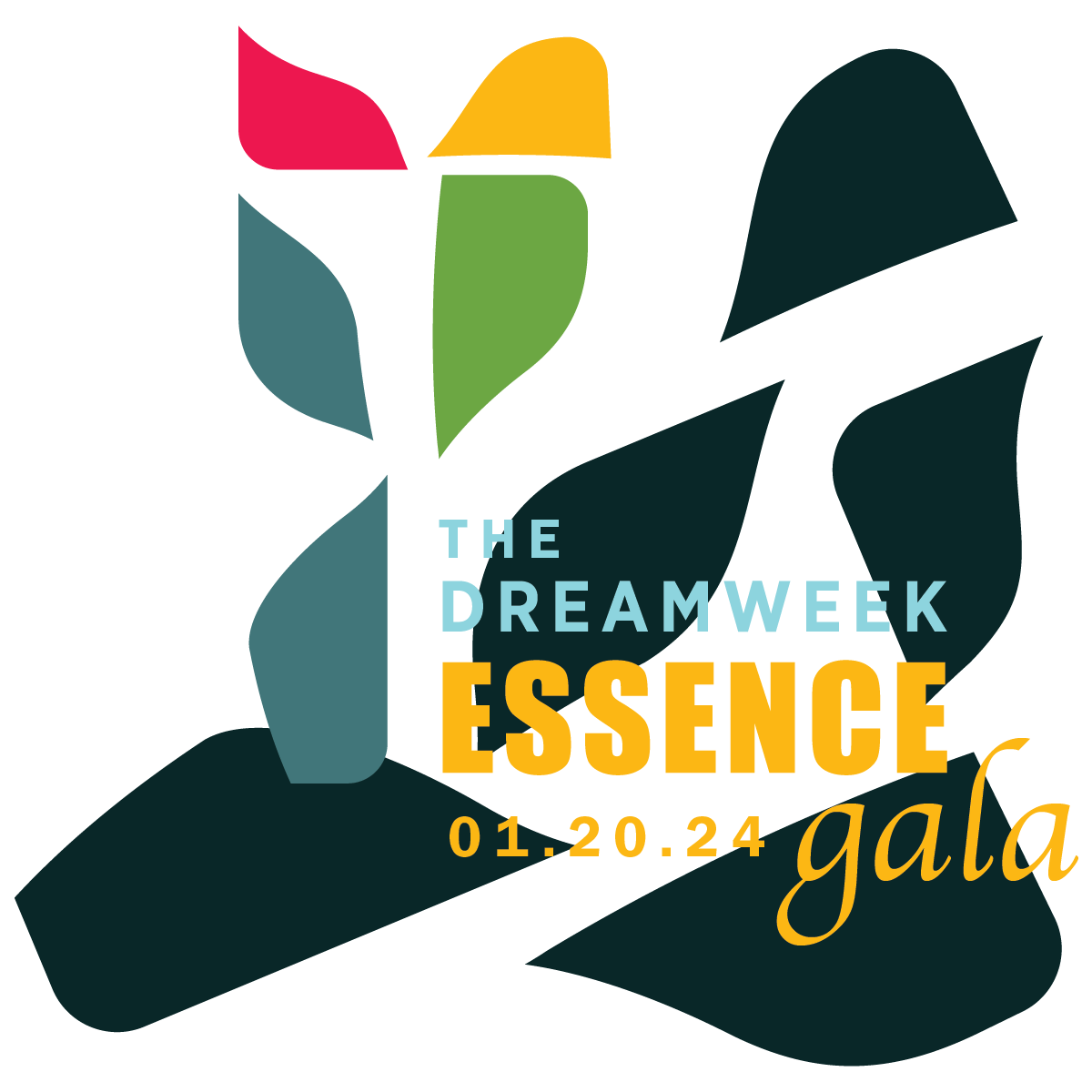 The DreamWeek Essence Gala 2024